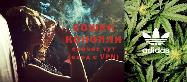 PSILOCYBIN Вязьма